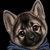 CazFantasyRealm's avatar