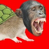 Cchimpanzeeratturtle's avatar