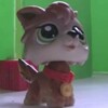 ccoyotetango's avatar