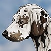 CedarCrest's avatar