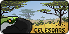 Celesoars's avatar