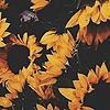 celstayyy's avatar