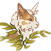 ceraunoa's avatar
