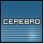 cerebrojd's avatar