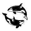 certifiedorca's avatar