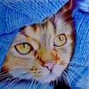 CesarKibler's avatar
