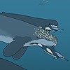 CetaceanEnthusiast's avatar