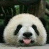 ChaonsWrath's avatar