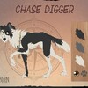 chasedigger1087's avatar