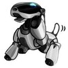 chatterbugg's avatar