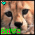 CheetahForeverRunnin's avatar