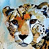 cheetahtails's avatar