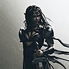 Chenova's avatar