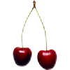 Cherries-are-yummy's avatar