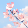 CherryRosieBlossom's avatar