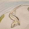 ChesapeakeLizard's avatar