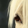 cheval-du-desert's avatar