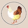 ChickenRoostArt's avatar