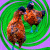ChickenWho's avatar