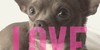 Chihuahua-Love's avatar