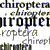 chiroptera's avatar