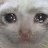 ChloeofOlivine's avatar