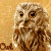 Choco1108's avatar