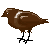 Chocolate-Crow's avatar