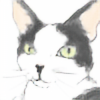 chronically-art's avatar