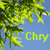chryseis's avatar