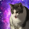 ChubbyCat6717's avatar