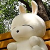 chvvbi's avatar