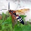 CicadaKiller's avatar