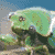 cicadaman's avatar
