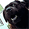 cicodog's avatar