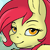 Cinder-Raccoon's avatar