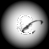 Cinnarch's avatar