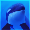 Ciorano's avatar