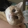 circeofaeaea's avatar