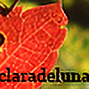 claradeluna's avatar