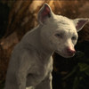 clawdeenwolfsuperfan's avatar