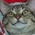 clockworkprune's avatar