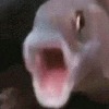 ClockWorks1's avatar