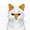 CloudheartMedCat's avatar