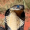 Cobrasaur's avatar