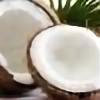 coconut81's avatar