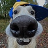 coconutMC's avatar