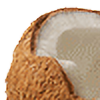 coconutplz1's avatar