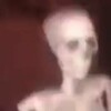 ColderDaCat6969's avatar