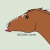 Collie-Lover's avatar